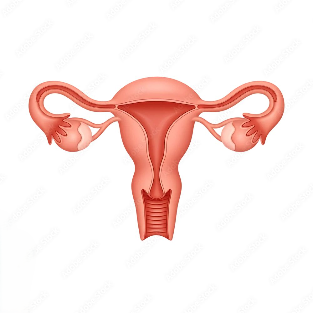 Điều trị Hiếm Muộn Nữ Giới