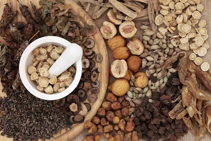Sơ chế dược liệu truyền thống