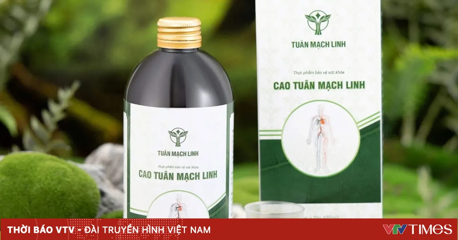 Ảnh xem trước bài viết trên VTV